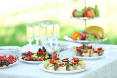 Snacks, fruits and drinks on table, outdoors. Garden party concept